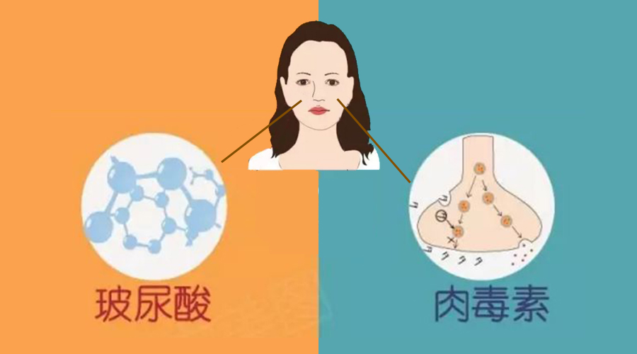 玻尿酸 VS 肉毒素.jpg